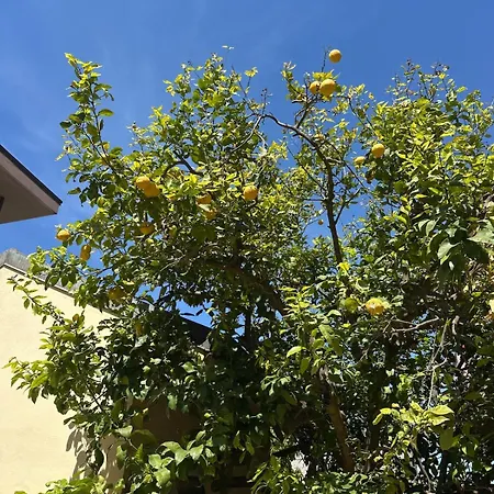 La Casina Di Simone & Alba, Garden & Bbq *